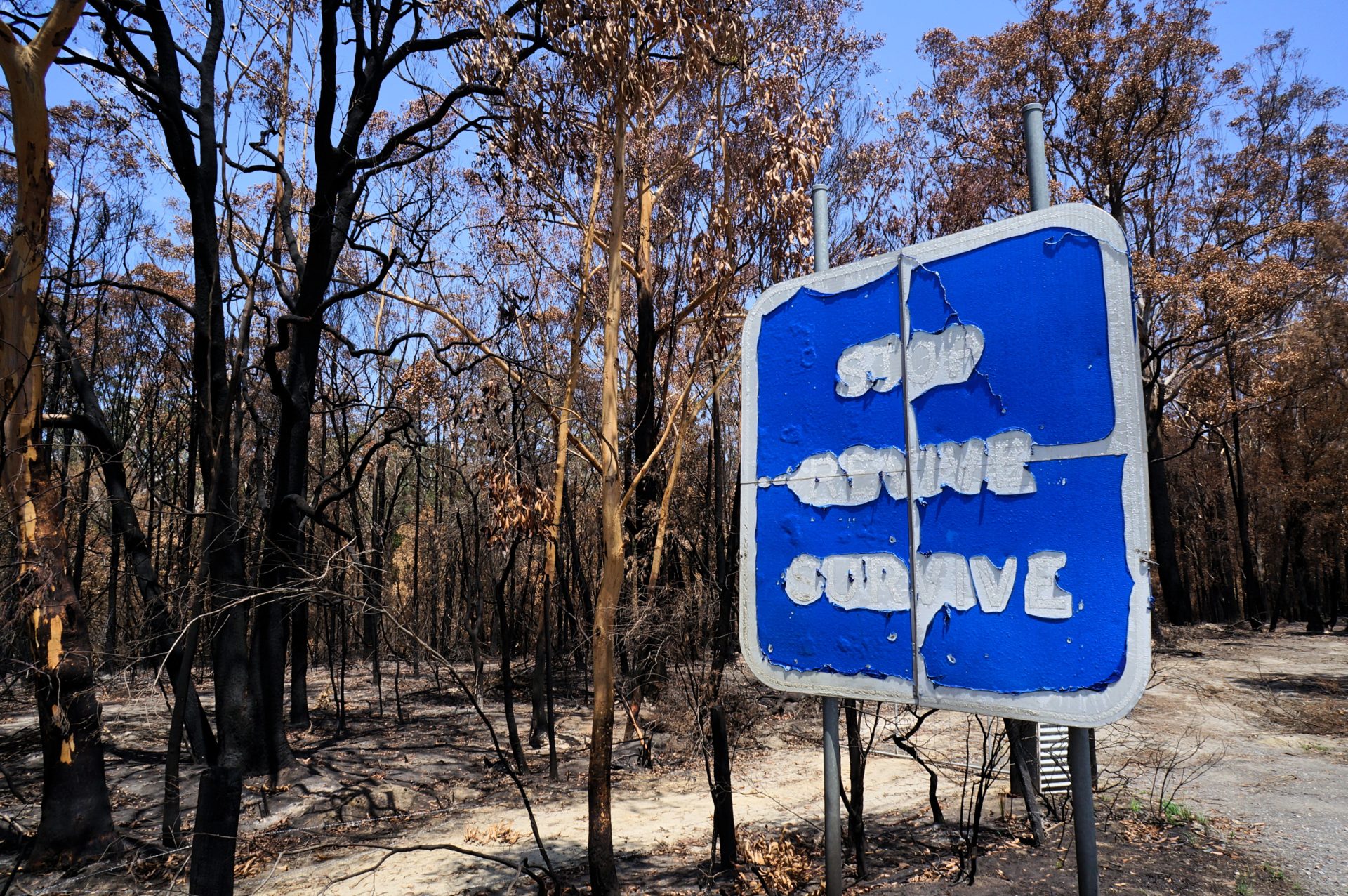 Australian Bushfire Podcasts: Renegade Aid